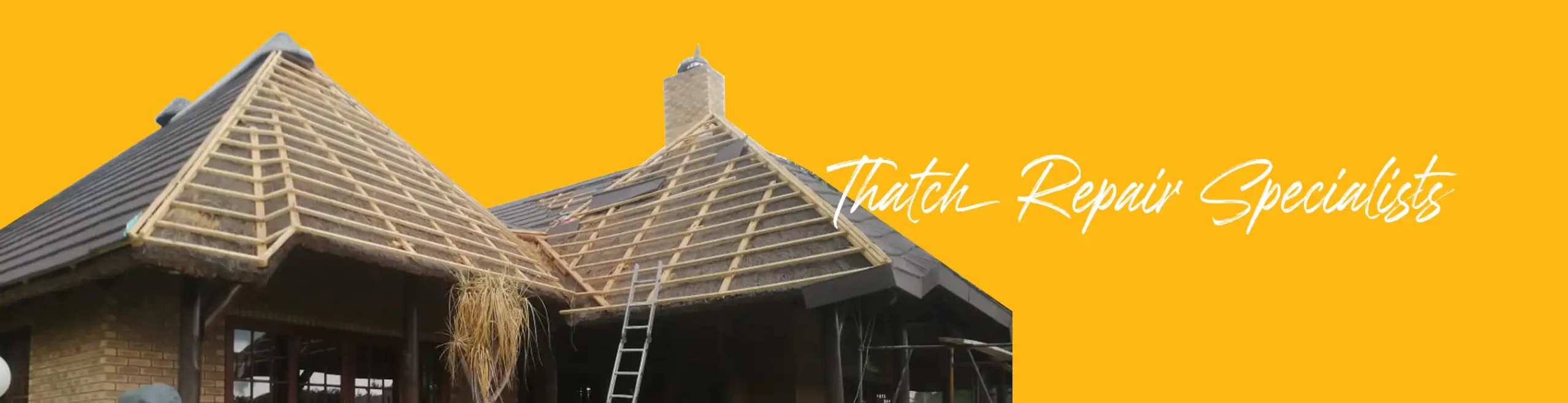 thatch repair specialists